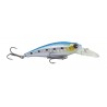POISSON NAGEUR X-DEVIL ZACK FLOTTANT 5CM