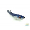 LEURRE SOUPLE QUANTUM SPECIALIST SMELT SHAD 10CM