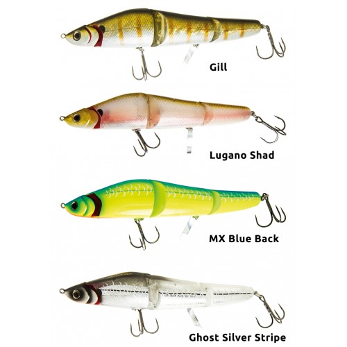 POISSON NAGEUR MOLIX BRIGANTE 160F