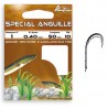 HAMECONS MONTES AUTAIN SPECIAL ANGUILLE