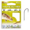 HAMECONS MONTES AUTAIN TRUITE AU VER