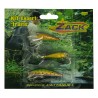 KIT EXPERT TRUITE ZACK